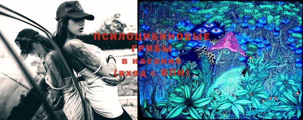 мефедрон мука Алексеевка