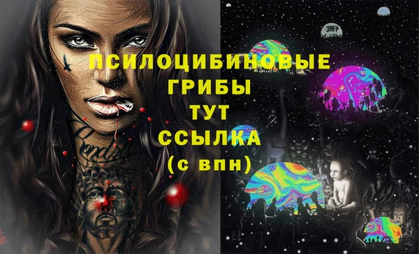шишки Алексин