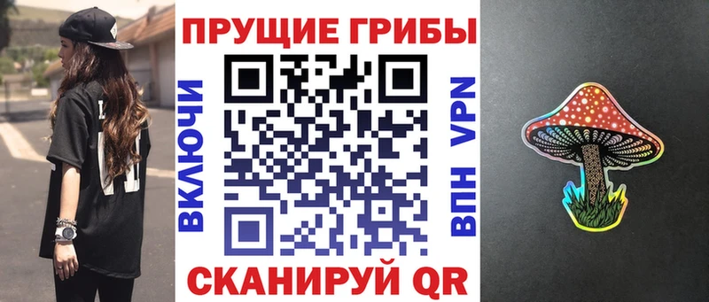 купить закладку  Сасово  Псилоцибиновые грибы Psilocybe 
